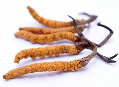 德国 Cordyceps CS-4虫草胶囊 冬虫夏草提取物 120片,第3张