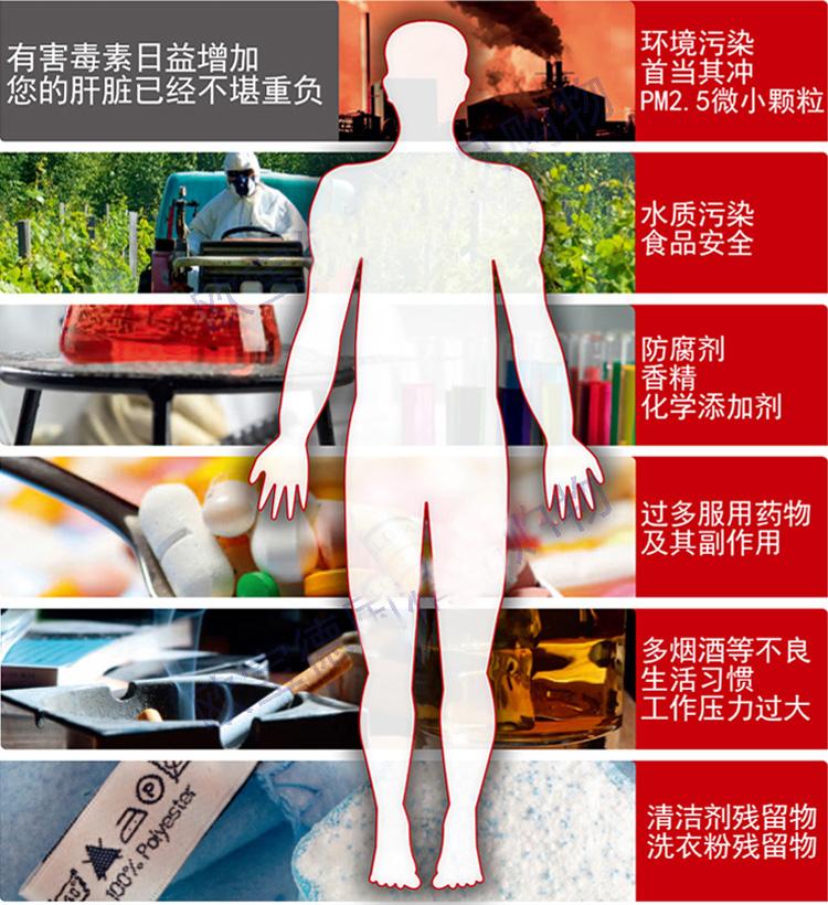 德国FROXIMUN福伊蒙火山沸石排毒胶囊 清除体内毒素 排除重金属,第2张